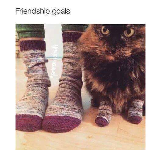 Friendship Goals